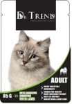 Пауч Др Тренд котка адълт SENSITIVE DIGESTION агне 12х85гр
