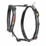 SJ02-CL MULTI BONE EX.LARGE  NEW