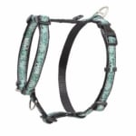 SJ02-CM MINT EX.LARGE  NEW