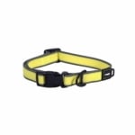 HB65-H Amphibian collar L DAYGLO