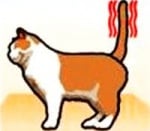 Вдигната опашка с потреперващ край