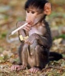 "От утре ги отказвам ..." ;)