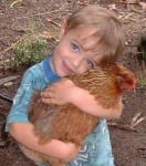 Синеочко прегръща кокошка