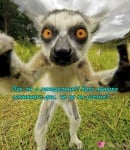 Понеделник сутрин