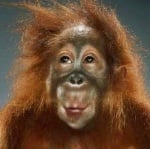 Автопортрет