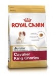 "Cavalier King Sharles Junior" - Храна за Кавалиер Кинг Чарлз Спаниел до 10 месеца