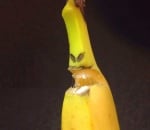 Чудовище от банан