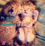 "Цункам те за Лека нощ!"