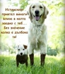 Да бъдеш истински приятел