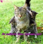 Да бъдеш майка