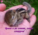 Да се събудиш в сигурни ръце