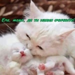 Да те събуди мама