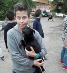 Дарение за кучета Плевен