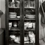 Дете и котка в скрина