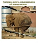 Дивите животни принадлежат на дивата природа!