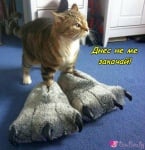 Като дракон