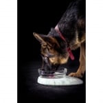 КУПА ФЛАШКА ЗА ДОМАШНИ ЛЮБИМЦИ 0.70 л.