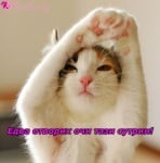 Протягане = сутрешна гимнастика