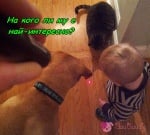 Една незабравима игра