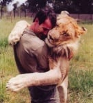 Прегръдката през погледа на животните (уникални снимки)