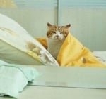 "Още 5 минутки мамо"