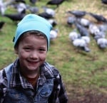 Гарвани носят ценни подаръци на момиченце, което ги храни