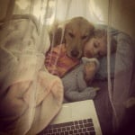 Гледане на филм с куче