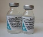 Гонавет Вейкс