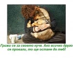 Да се грижим добре за кучетата си ...