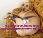 Грижовна като майка