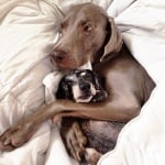 Харлоу и Сейдж спят прегърнати заедно