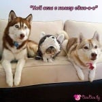 Готов за Хелоуин