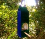 Хранилка за птици от кутия за мляко