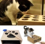 Играчка за котки