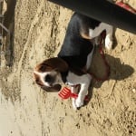 Рико КАБУУУМ !!! 