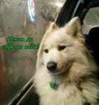 Замечтан за игри