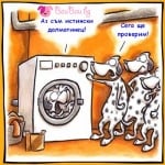 Истински далматинец