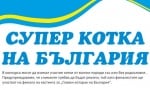 Избира се супер котка на България - участвайте в конкурса!