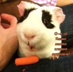 Изненадан :) 