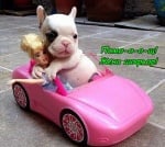 На разходка с колата :) 