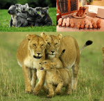 Семейство - топлина и уют