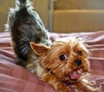 "Будна съм вече"