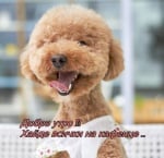 Да започнеш седмицата с усмивка