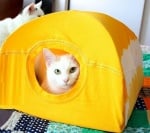 Как да направим къщичка за котки от тениска и закачалка?