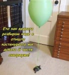 Как да проследим костенурка?