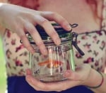 Как се пренасят рибките