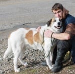 Калеси с нов стопанин