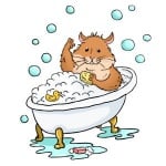 Къпе ли се хамстера