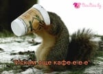 "Искам още кафе-е-е-е"