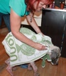 Грижи за Калеси